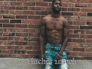 2inches_2much