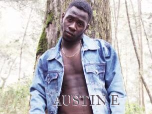 AUSTIN_E