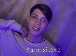 Aaronsinz23