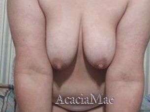 AcaciaMae