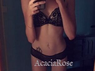 AcaciaRose