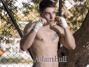 AdamBull Erotik Cams