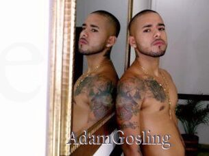 AdamGosling
