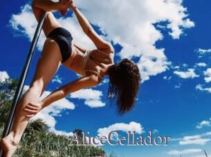 AliceCellador