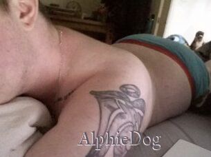 Alphie_Dog