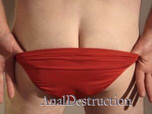 Anal_Destruction