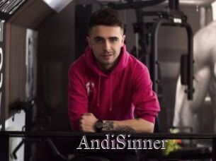 AndiSinner
