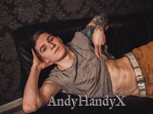 AndyHandyX