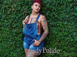 AndyPulido