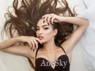 AneSky