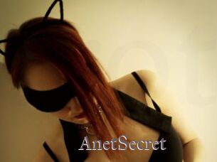 AnetSecret