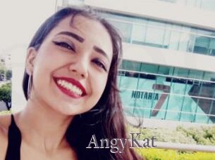 AngyKat