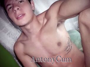 AntonyCum
