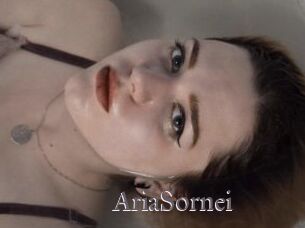 AriaSornei