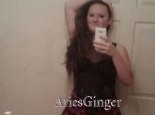 AriesGinger