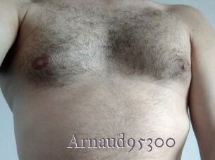 Arnaud95300