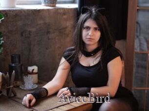 AviceBird