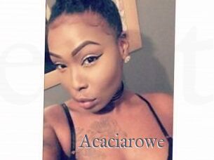 Acacia_rowe