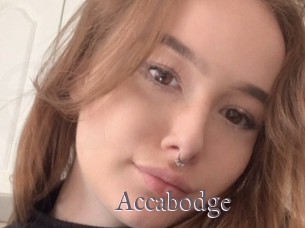 Accabodge
