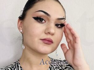 Accagise