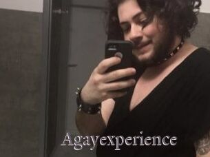 Agayexperience