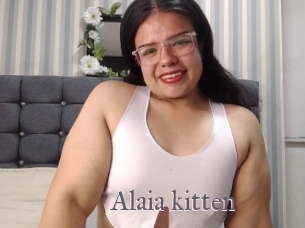 Alaia_kitten