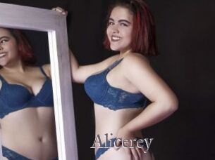 Alicerey