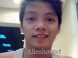 Allen_hornet