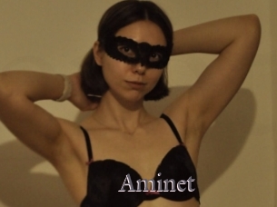 Aminet