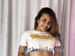 Anthonellarosse