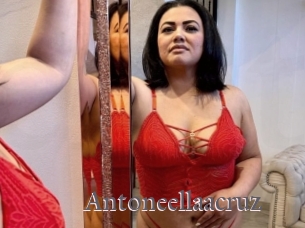 Antoneellaacruz