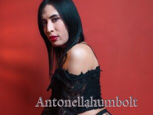 Antonellahumbolt