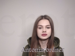 Antoniacordner