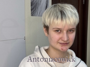 Antoniacowick