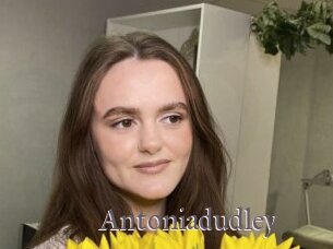 Antoniadudley