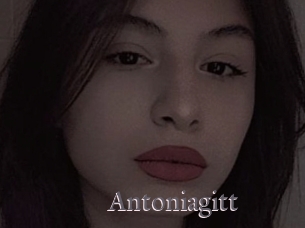 Antoniagitt