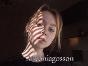 Antoniagosson