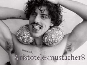 Aristotelesmustache18