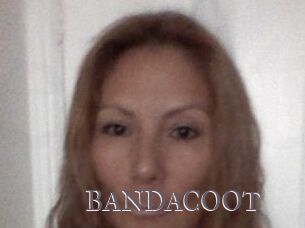 BANDACOOT