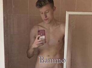 Bammo