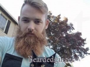 Beardedginger