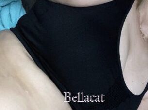 Bellacat