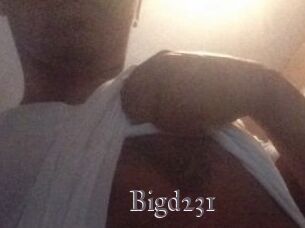 Bigd231