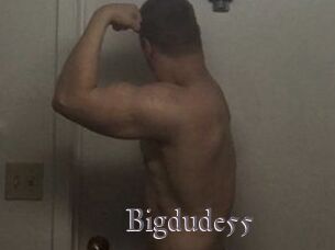 Bigdude55