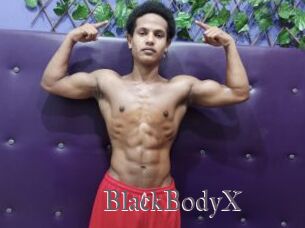 BlackBodyX