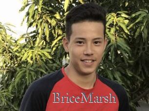 BriceMarsh