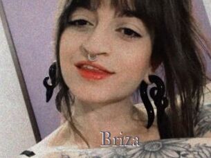 Briza