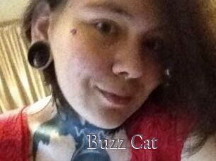 Buzz_Cat