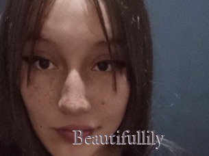 Beautifullily