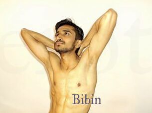 Bibin